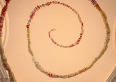 Marjeta Godler - Three Paths to the Essence (Detail)